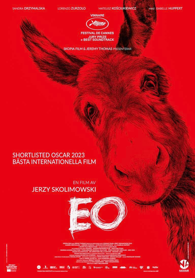 Oscarsnominerade filmen ”EO” har svensk biopremiär den 24 mars.