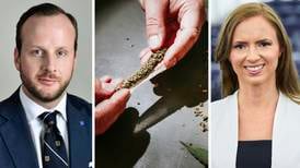 KD-politiker vill göra cannabis lagligt - nu svarar partiet