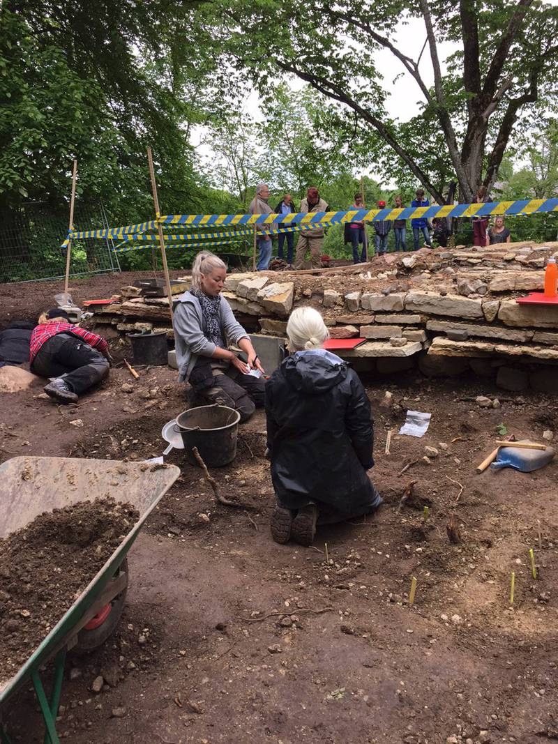 Fyndigt. Ett 50-tal studenter från Göteborgs universitet hjälper till med att gräva efter fler fynd vid Varnhems klosterruin.