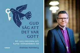 Förstår det gamla gardet i Svenska kyrkan vad de ska göra av biskopens råd?