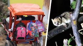 Filadelfiakyrkor och lemurer fascinerar på Madagaskar