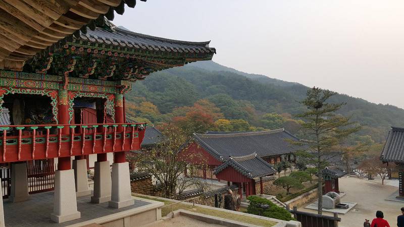 Upplev kultur, natur och modern stad i Sydkorea, som i ett ordspråk kallas ”en räka mellan valarna”.