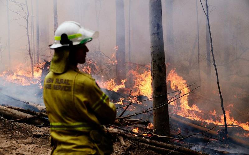 En brandman bekämpar skogsbrand utanför Bodalla, Australien.