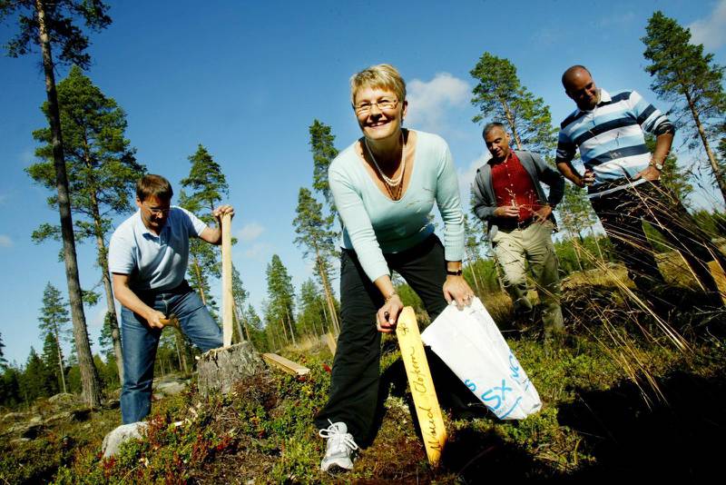Gemensamma spadtag. Mycket har hänt sedan alliansens partiledare planterade träd i Högfors i augusti 2004. Från vänster Göran Hägglund (KD), Maud Olofsson (C), Lars Leijonborg (FP/L) och Fredrik Reinfeldt (M).