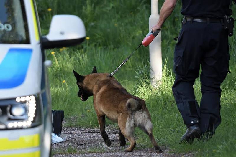 En död kvinnas kropp hittades i stadsdelen Hjärsta i Örebro på lördagseftermiddagen under pingsthelgen.