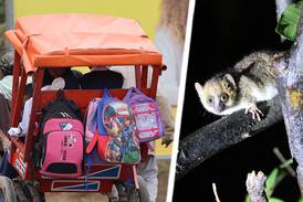 Filadelfiakyrkor och lemurer fascinerar på Madagaskar