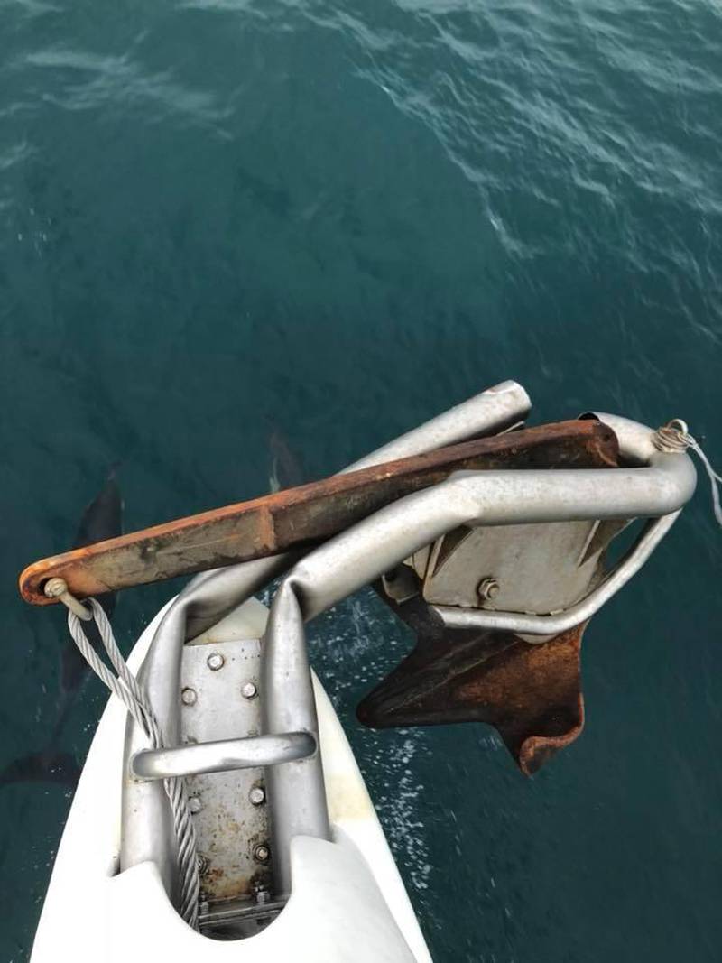 Elidas bogspröt blev förstört efter att båten blivit påseglad av en fiskebåt.
