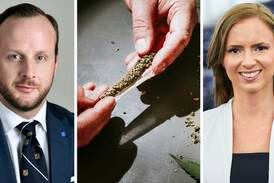 KD-politiker vill göra cannabis lagligt - nu svarar partiet