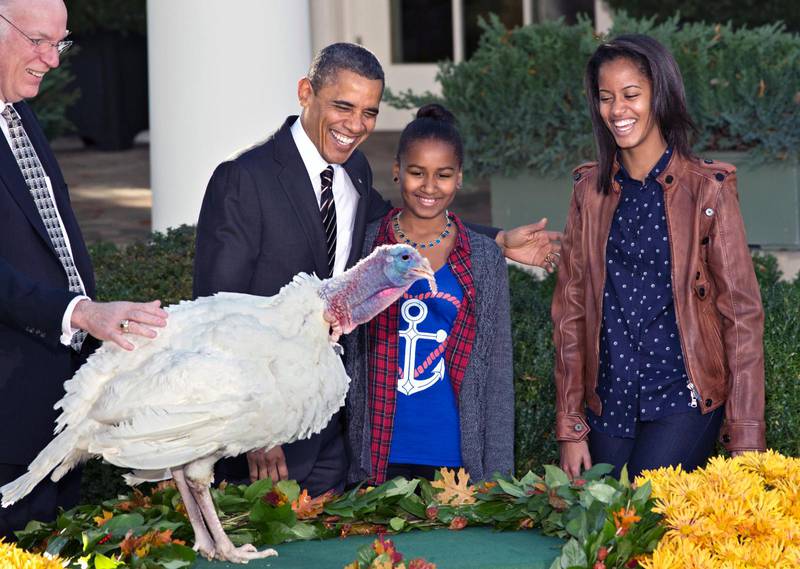 NÅD. USA:s tidigare president Barack Obama benådar en kalkon, en tradition som hör hemma under Thanksgiving.