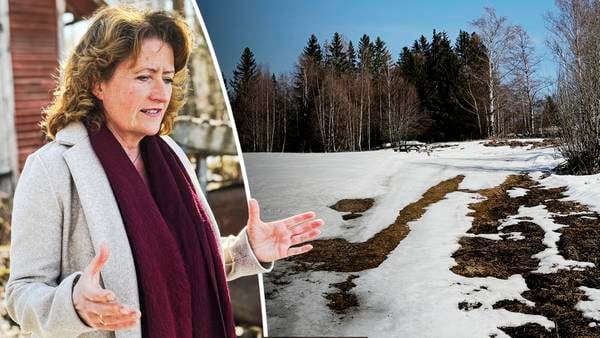 Hon har vigt sitt liv åt att söka massgraven i Torsåker – Kyrkan: Vissa saker bör få vila i fred