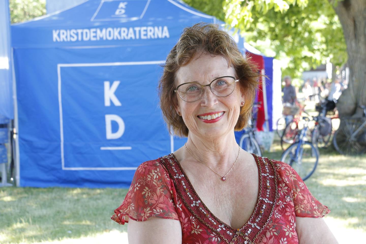 Gudrun Brunegård, Kristdemokraterna