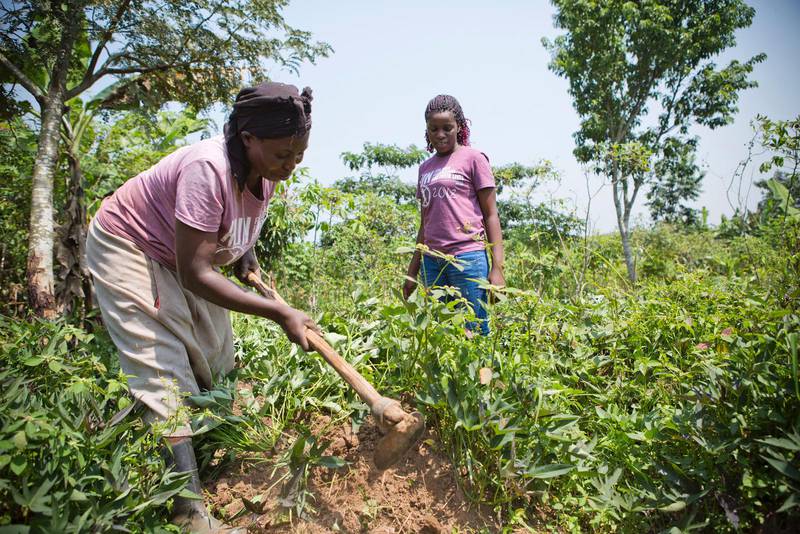 Phionas mamma Harriet har också fått ett nytt liv, långt från den osäkra vardagen i Katwe. I dag bor hon på landet och ett stycke mark där hon odlar frukt och grönt, både till sig själv och till barnen på SOM-akademien.