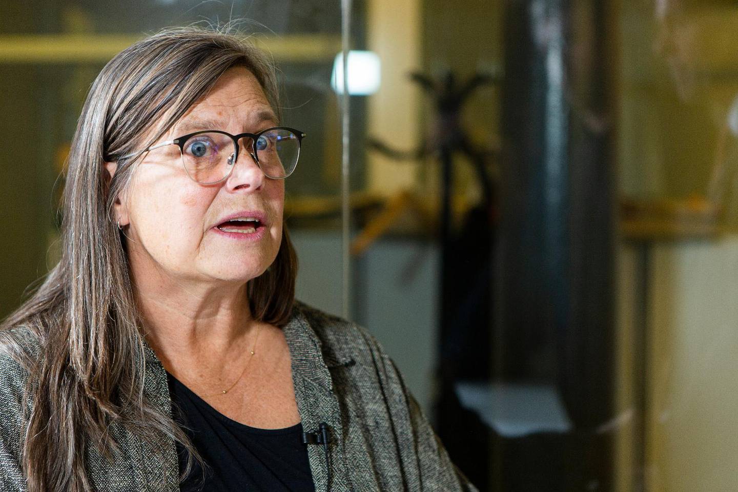 Karin Wiborn, Sveriges kristna råd.