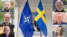 Så tycker samfundsledarna om svenskt medlemskap i Nato