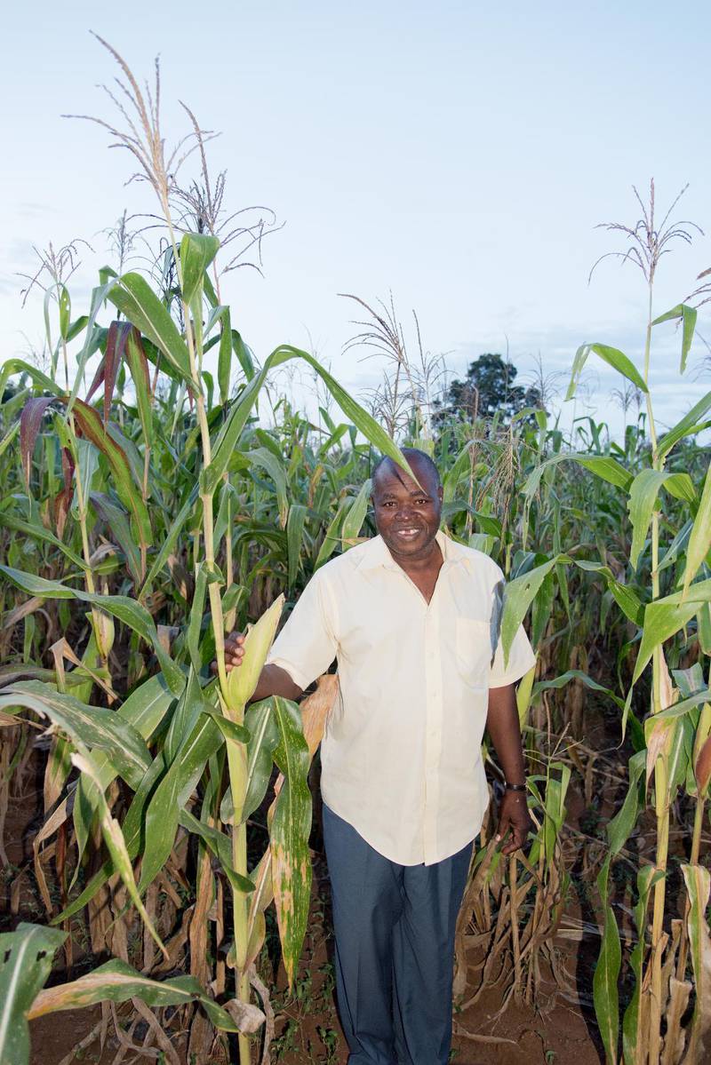 Eleverna på pastor Job Ilboudos bibelskola får även lära sig att odla majs.