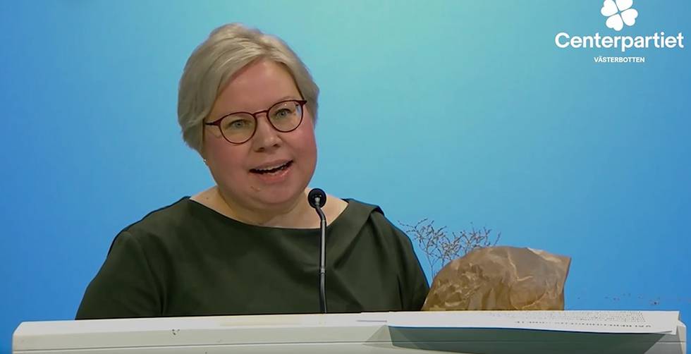 Linda Modig (C) valdes i torsdags till första vice ordförande i Centerpartiet.