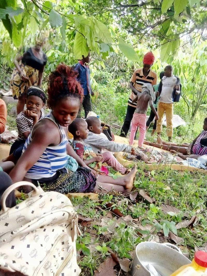 På flykt. Nära en halv miljon människor har drivits på flykt i Kamerun. Mord, övergrepp och bränder hotar civilbefolkningen. Nu varnar den internationella flyktingorganisationen Flyktinghjälpen för att konflikten i landet kan utvecklas till nästa stora flyktingkris (bild från sommaren 2018).