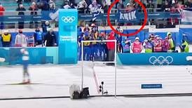 Krik i bild när Stina Nilsson vann OS-guld