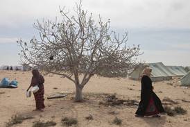 Flyktingar dumpades i öknen – EU-avtal med Tunisien anklagas