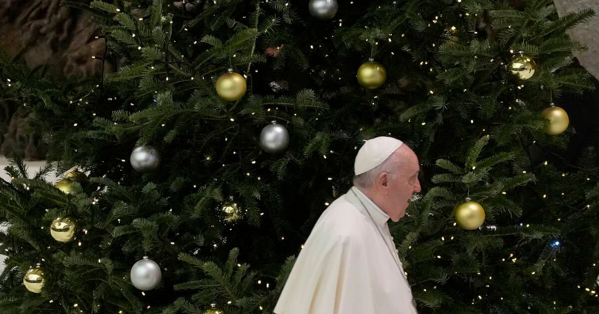L’albero di Natale del Papa fermato dagli ambientalisti – Il Giorno