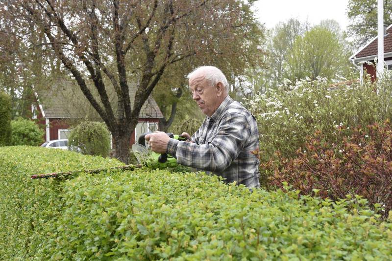 Trädgårdsentusiasten Bengt Tonnvik i Toftaholm visar med stolthet upp sin vårgrönskande trädgård.