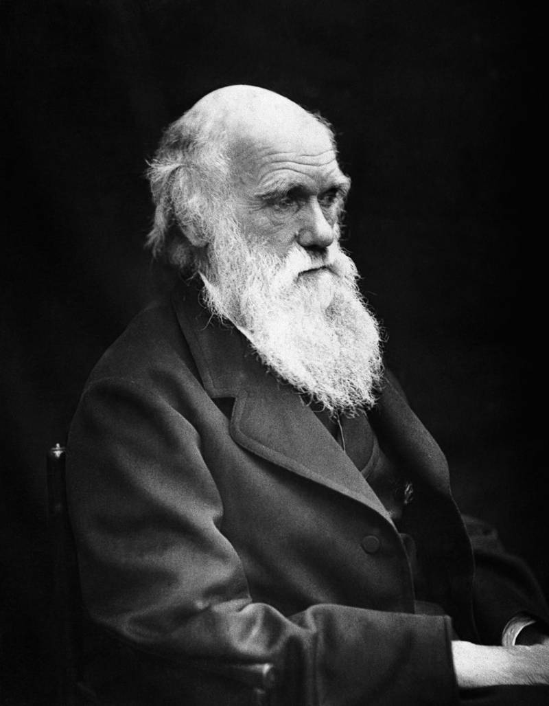 Charles Darwin lade fram sin teori om livets utveckling genom naturligt urval 1859, det som brukar kallas evolutionsteorin.