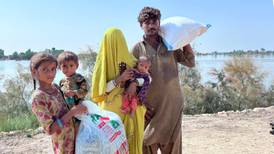 Stor nöd i Pakistan: “En pojke började äta av gräset”