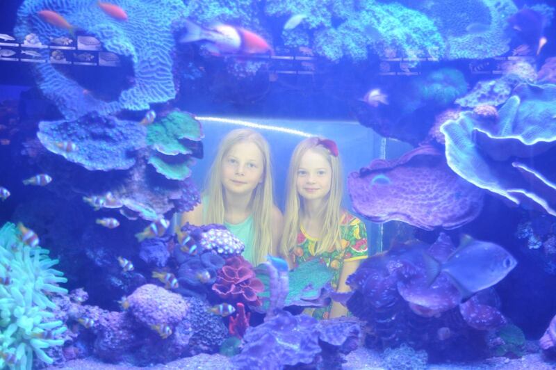 Underwater Observatory Marine Park i Eilat.