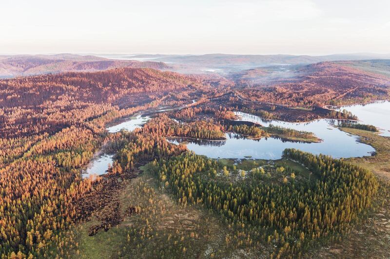 FÅGELSJÖ 2018-07-24