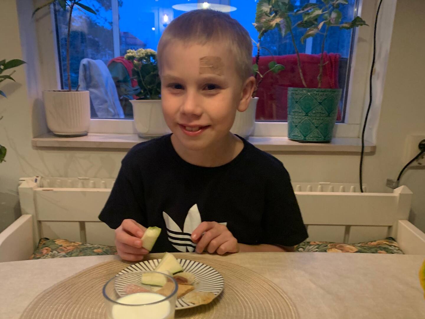 Theodor, 10 år, Knivsta