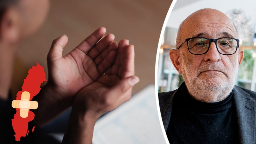 Levi Meier, Jacob Zetterman Jerzy Sanetski, professor i kriminologi. Vinjett för serien Ett helare Sverige.