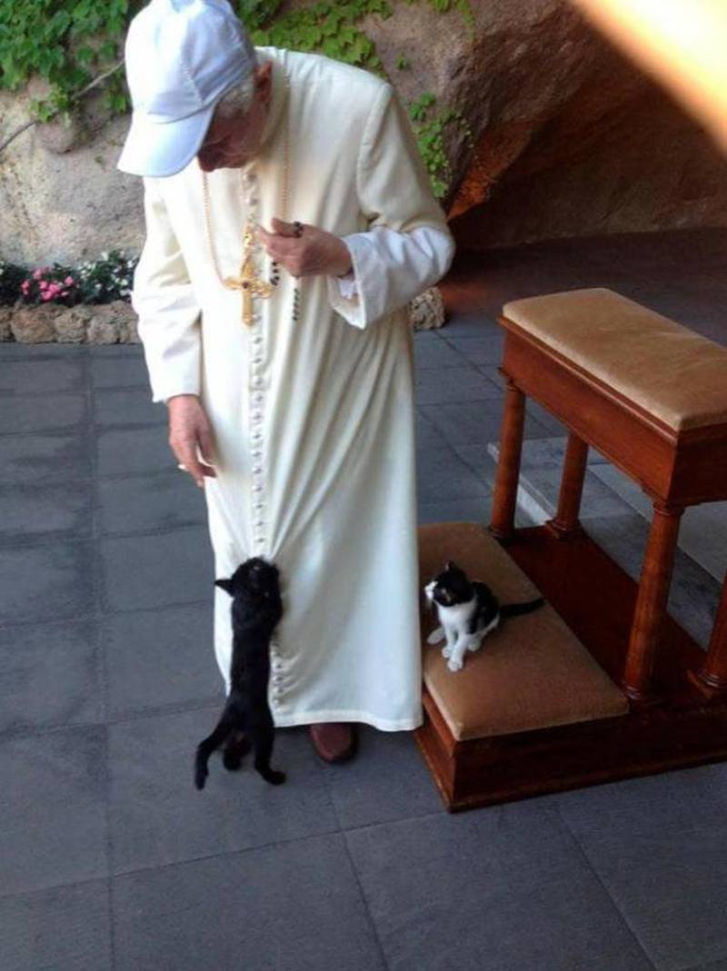 Påve emeritus Benedikt XVI med keps och sina älskade katter.