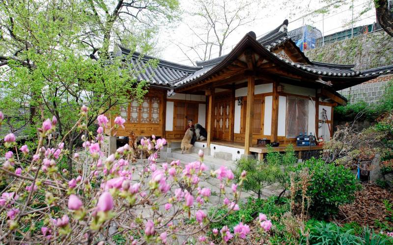 Jeonju är känt för sitt område med traditionella hanok-hus. 